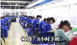 源头工厂爆料视频,揭秘源头工厂真实生产过程
