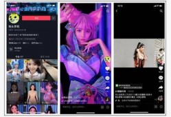 网红爆料视频在哪找,探寻热门话题背后的秘密