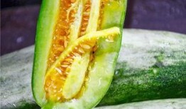 网红吃瓜全免费,免费畅享娱乐圈新鲜资讯