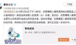 近期事件爆料视频最新,视频爆料揭示惊人真相
