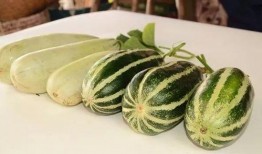 盐城吃瓜网红是谁啊,吃瓜达人背后的故事