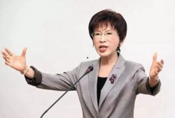 洪秀柱爆料视频大全集播放,揭秘政坛风云与幕后真相