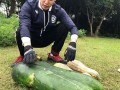 安丘大瓜爆料视频,一场引人入胜的爆料盛宴