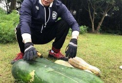 安丘大瓜爆料视频,一场引人入胜的爆料盛宴