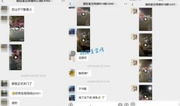 八村最新爆料视频大全播放,精彩瞬间回顾