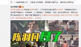 卓伟爆料52种调料视频,52种调料背后的秘密大曝光！