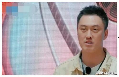 娱乐圈吃瓜男,揭秘明星背后的故事