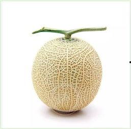 网上的吃瓜是什么意思