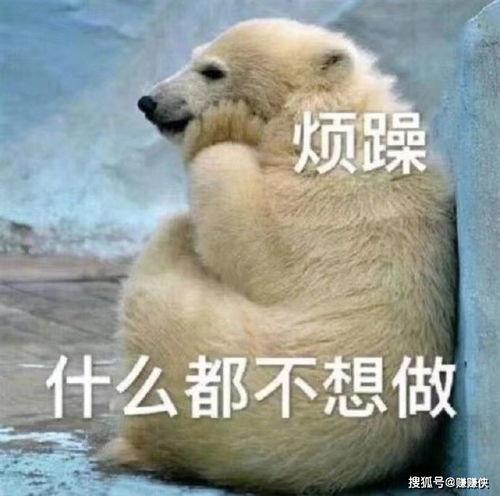 吃瓜群众图片高清大图